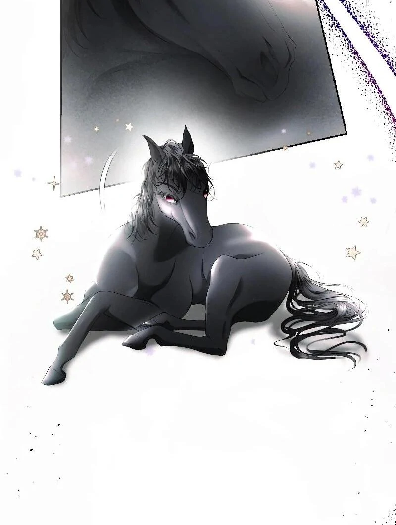 74288211 800 1060 65362